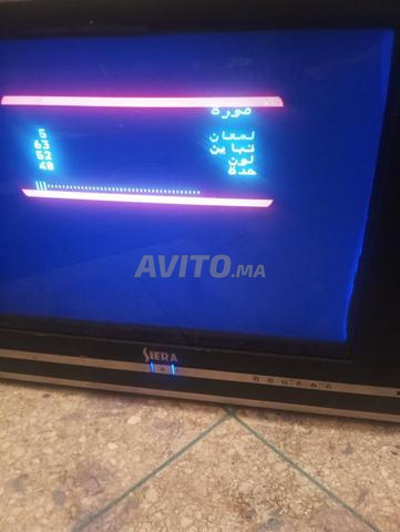 Téléviseur en bon état avec lecteur DVD - 2