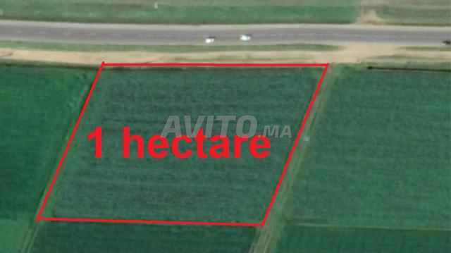 Terrains et fermes titrés à Bir Jdid - 2