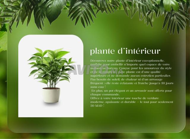 Nous gérons vos réseaux de A à Z