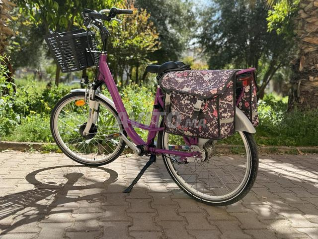 دراجة كهربائية كبيرة الحجم