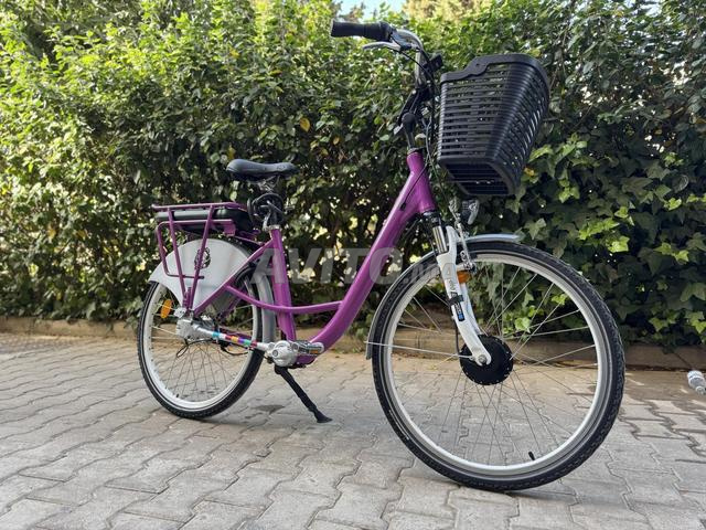 دراجة كهربائية كبيرة الحجم - 2