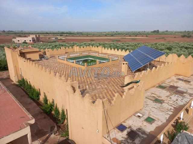 Superbe ferme à vendre à Tétouan - 2