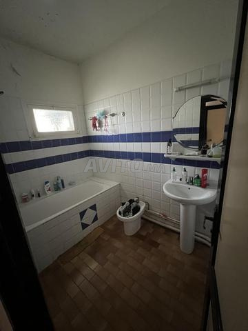 شقة واسعة للإيجار المشترك - غاندي - 2