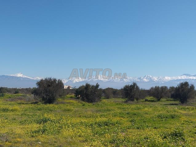 أرض هكتار واحد كم 18 طريق أوريكا - 2