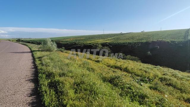 3.55 ha titré avec puits traditionnel - 2