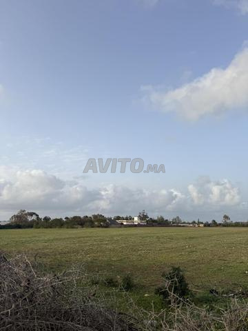 Hectare titré emplacement sur goudron et mer - 2