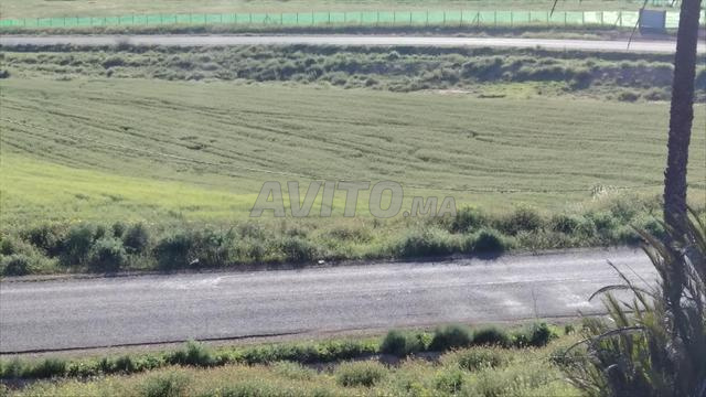 2.3 هكتار على الطريق ببنسليمان الزيادة - 2