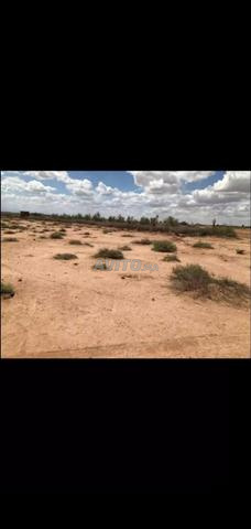 أرض للبيع بالقرب من مراكش – 12958 م² - 2