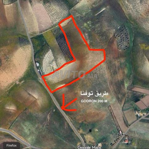 Terrain à vendre 3 hectares et 13 ares 200 mètres sur Goudron