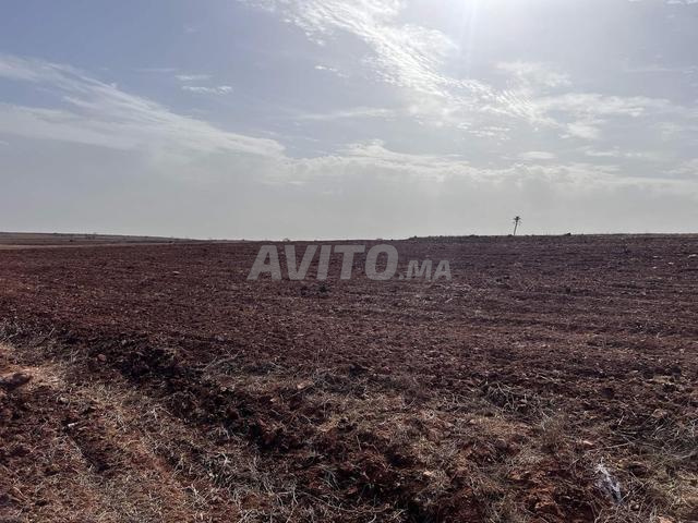 Terrain agricole 11 hectares titre à vendre - 2