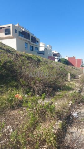 Terrain villa à vendre - 2