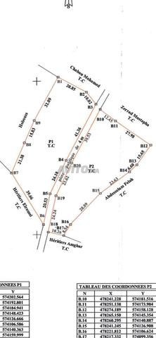 Terrain 4585 m² Proche autoroute Melloussa - 2