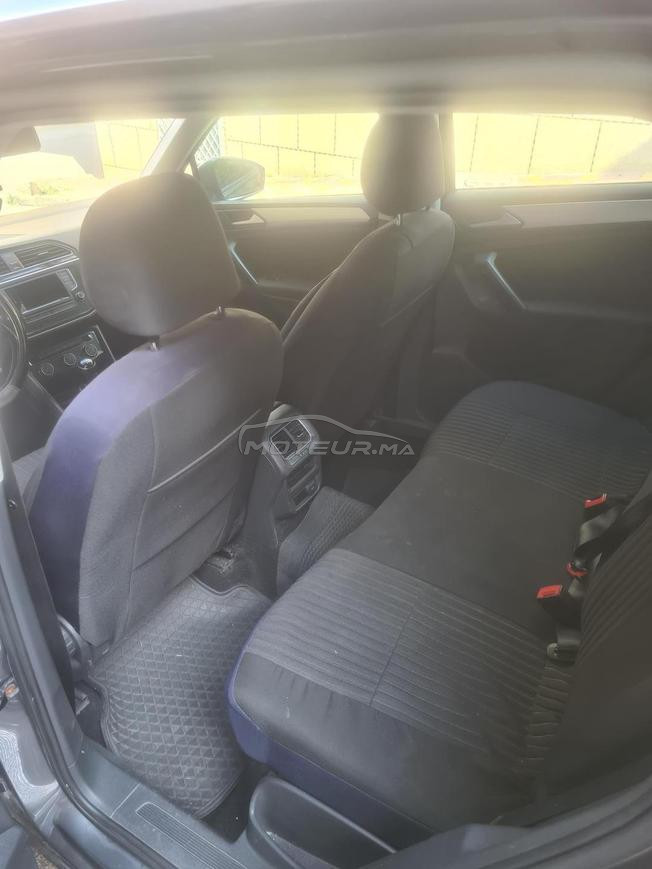 iguan à vendre