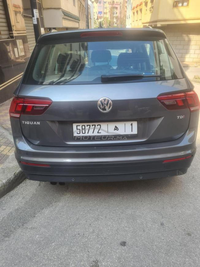 iguan à vendre