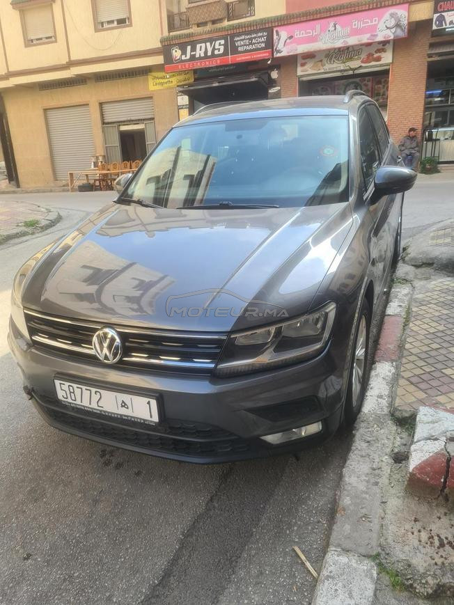 iguan à vendre