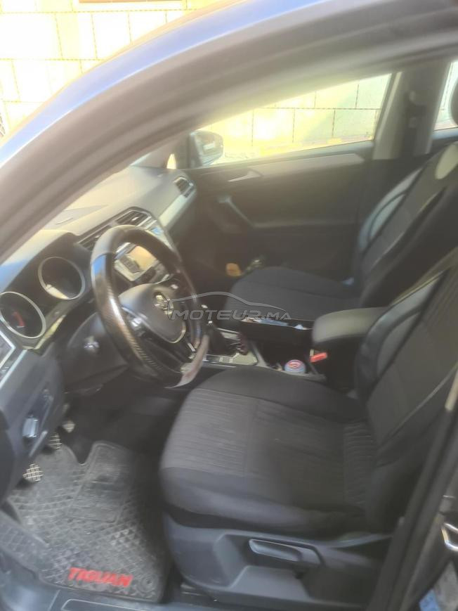iguan à vendre