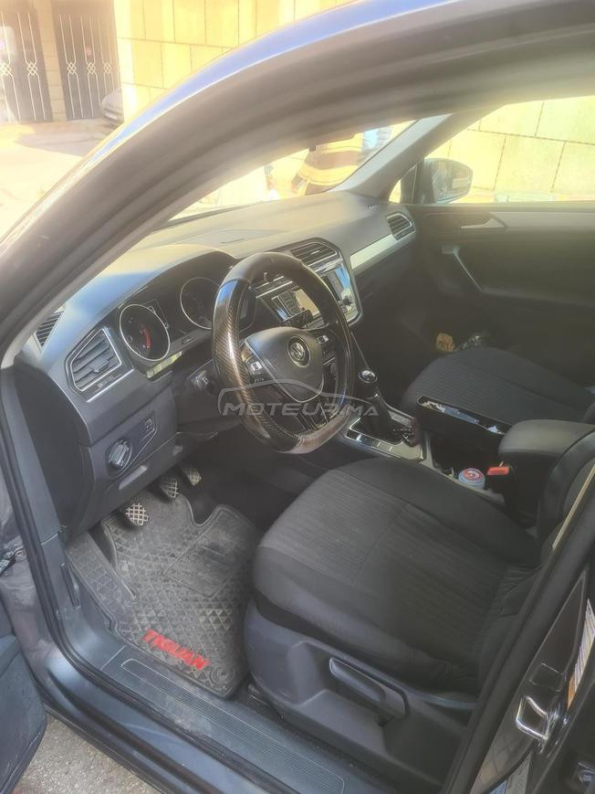 iguan à vendre