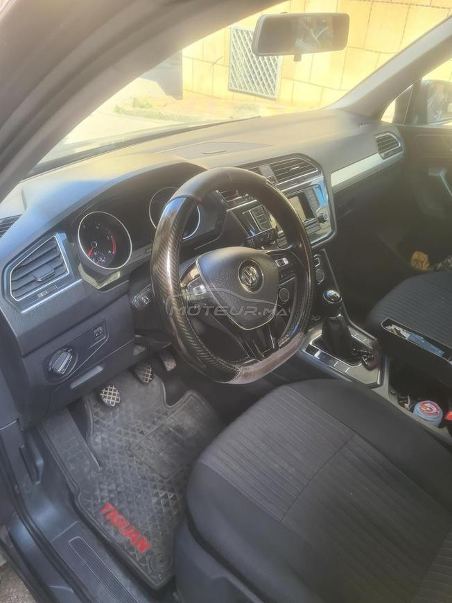 iguan à vendre