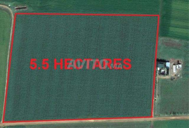 Terrains agricoles titrés El Jadida pour habitation et investissement