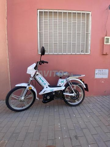 Ninja 2014 - 2