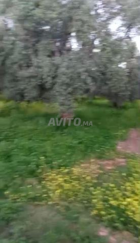 طريق أوريكا بجوار سمايل بارك. - 2