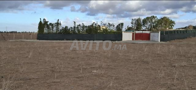أرض مسورة للإيجار - 2