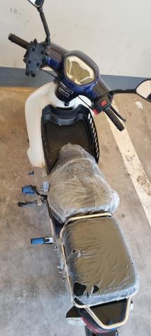 Highlander 2023/11 - 2