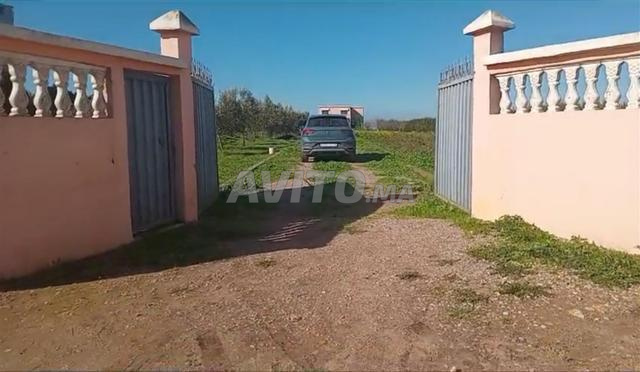 مزرعة حديثة - 2