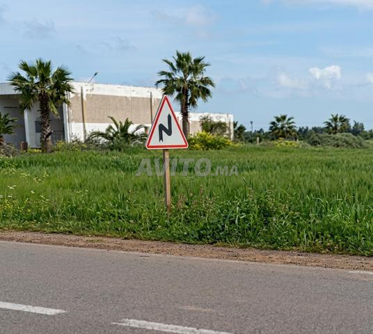 فرصة استثمارية أرض فلاحية بواجهة على الطريق - 2
