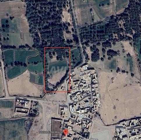 أرض مسجلة بمساحة 2.76 هكتار للبيع مراكش - 2