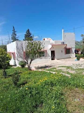 منزل بحديقة