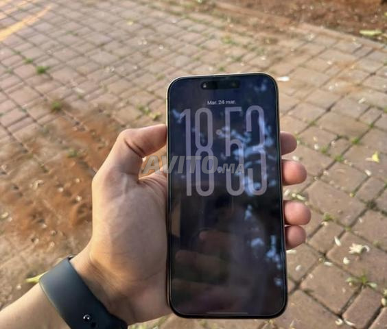 iPhone 16 Pro Max 256 Go - 2