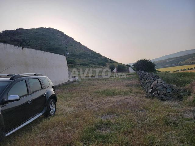 عقاران فلاحيان مسجلان، واد لبن، الطريق الوطنية 8
