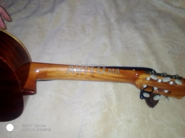 كامبس فلامنكا إلكترو - 2