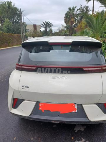 BYD Seagull Électrique Automatique 2025 - 2