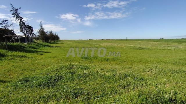 3.63 هكتار مسجل على الطريق ببنسليمان عين لكصاب