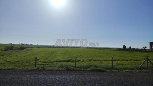 15 هكتارًا في امتداد الضواحي الحضرية. - 2