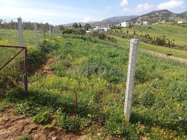 Opportunité d'investissement