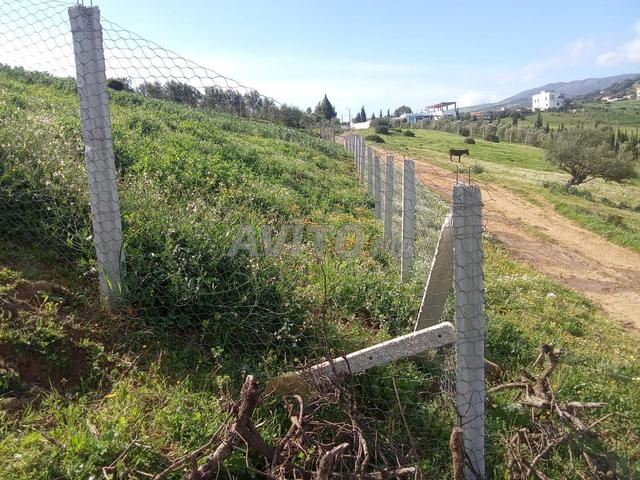 Opportunité d'investissement - 2