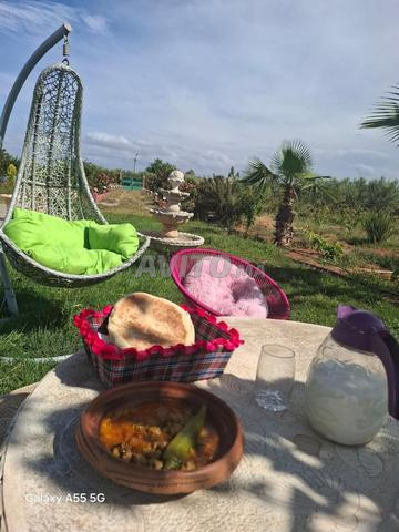 Ferme à vendre à Oujda - 2