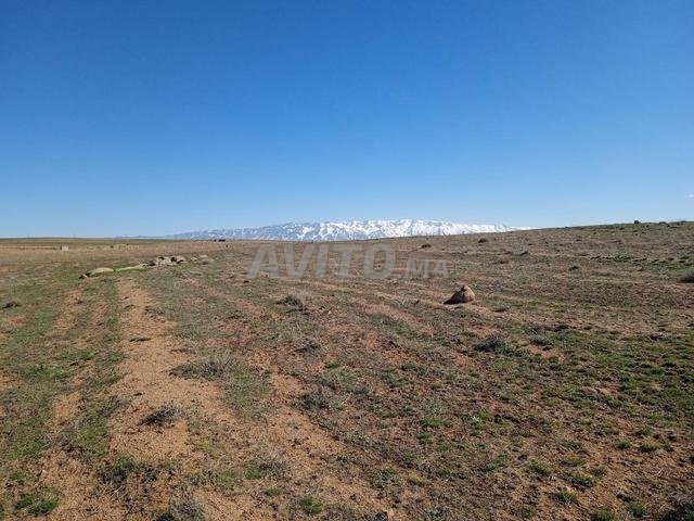 أرض ممتازة للبيع في طريق بومية - 2