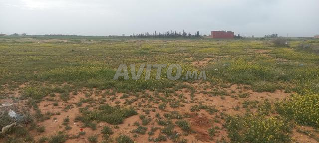 قطعة أرضية للبيع - 2