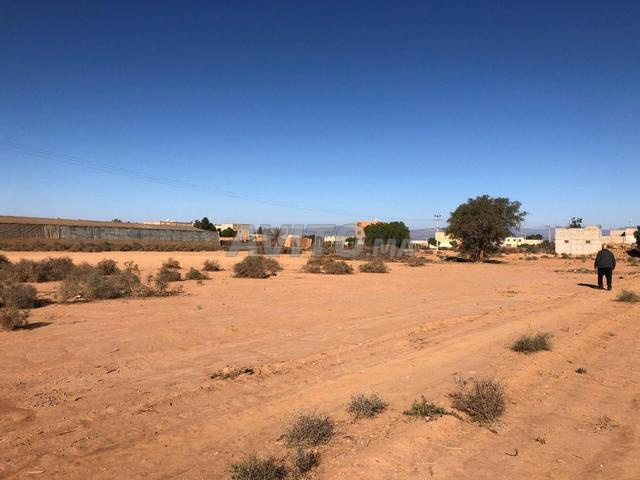Terrain à vendre sur la route d'Agadir vers l'aéroport d'Agadir Al Massira - 2