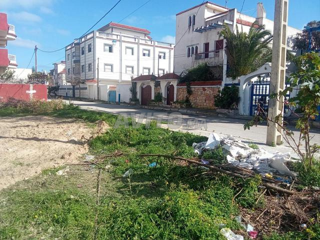 Opportunité d'investissement