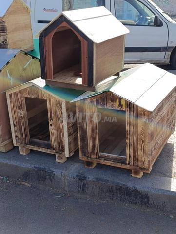 بيت للكلاب... بيوت الكلاب والقطط - 2