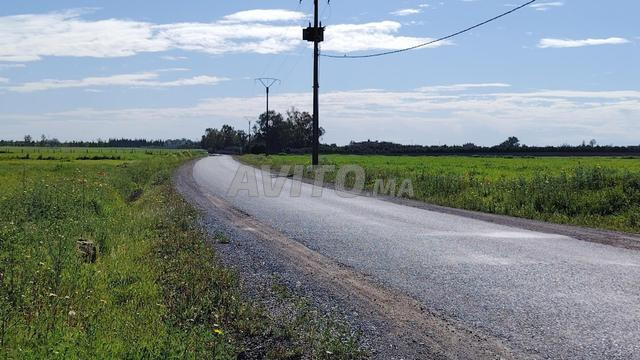 1.2 ha en indivision à Benslimane à 5 km - 2