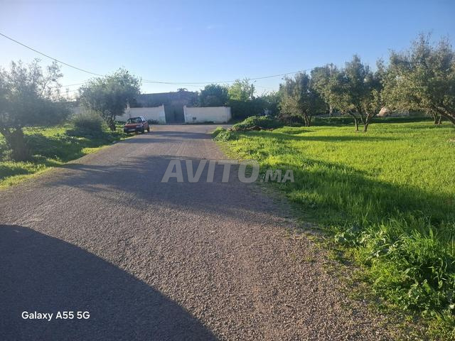 أرض فلاحية للبيع - 2