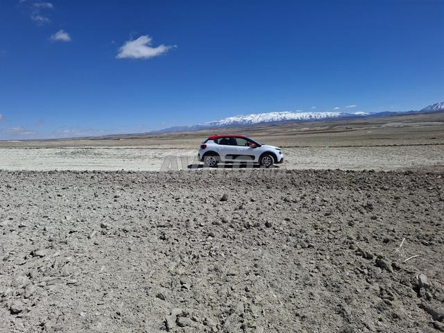 2 هكتار أرض فلاحية محفظة - 2