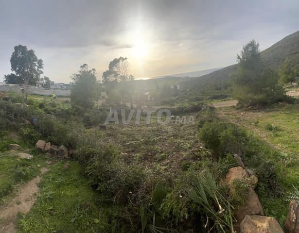 Terrain 120m² – Zone Villa – Tanger - 2