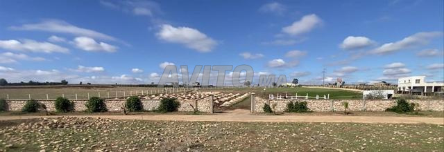 مزرعة رائعة - 23000 متر مربع صفقة جيدة - 2